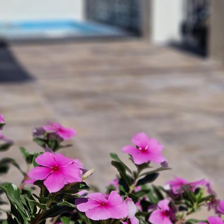 Del Parque Flats Balneario De Pina Villa Málaga Exteriör bild