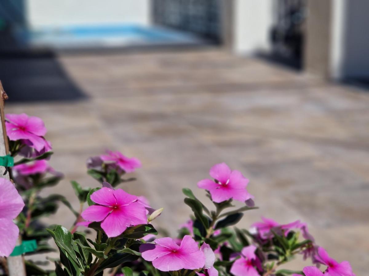 Del Parque Flats Balneario De Pina Villa Málaga Exteriör bild